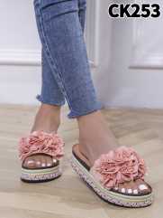 CK253 PINK