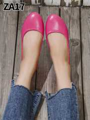 ZA17 FUCHSIA
