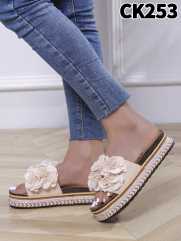 CK253 BEIGE