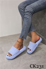 CK231 BLUE