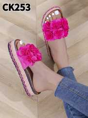 CK253 FUCHSIA