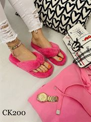 CK200 FUCHSIA