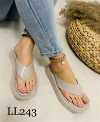LL243 GREY