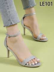 LE101 SILVER